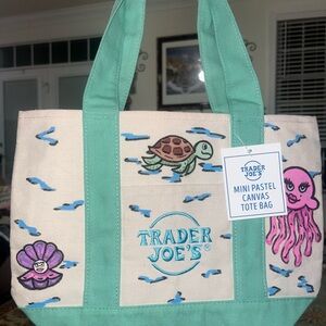 Mini Pastel Trader Joe’s Canvas Tote Bag in Mint